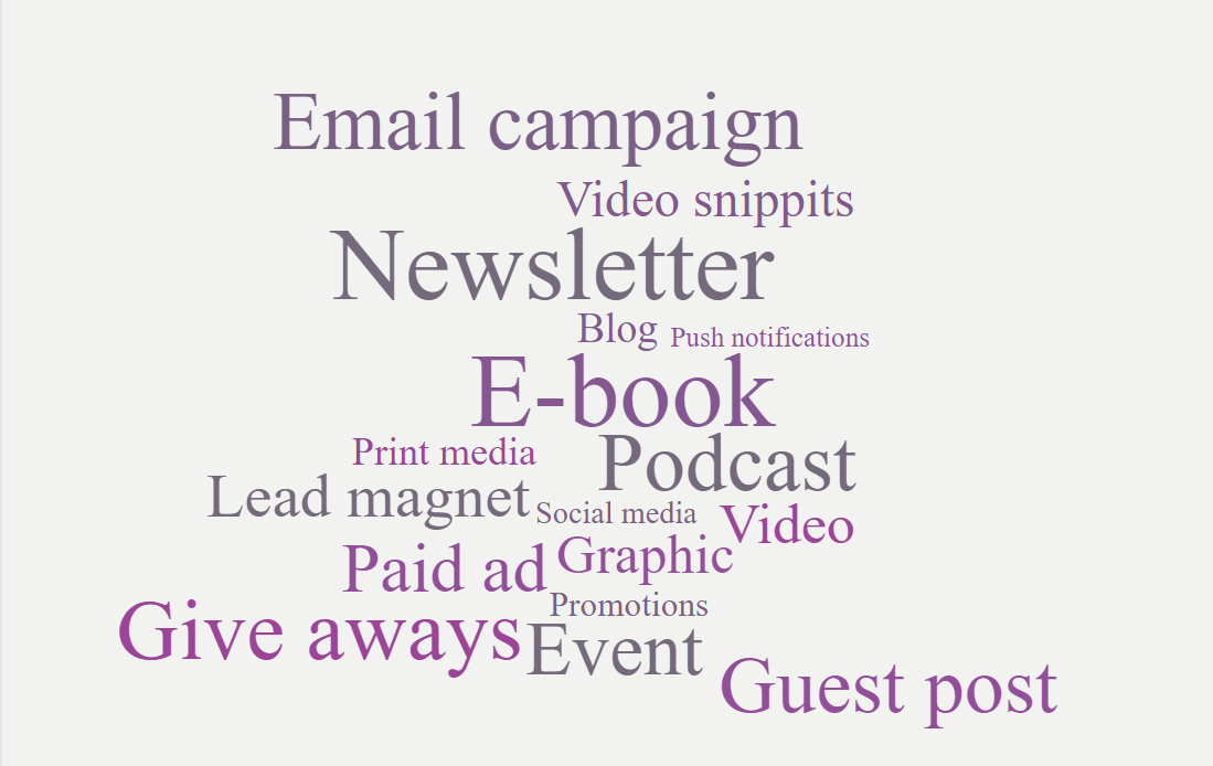 email campaign, video, newsletter, blog, ebook, podcast, print media, lead magnet, social media, video, paid ad, graphic, promo, give aways, guest post