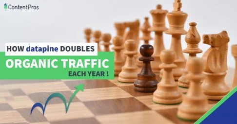 datapine doubles organic blog traffic every year